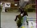 MCR-The Ghost Of You- Jumping and Dressage