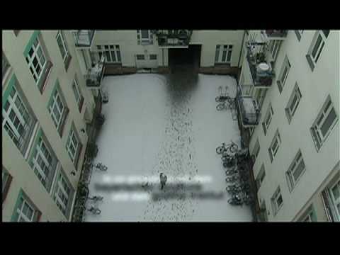 Hier sehen sie die ersten 2 Minuten aus "Die Reproduktionskrise"