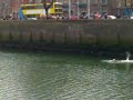 12/04/08, bachelor quay near o'connell bridge