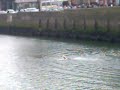 12/04/08, bachelor quay near o'connell bridge
