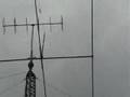Antena Abandonada