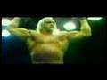 A tribute to Hulkamania