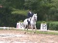 MY FIRST DRESSAGE TEST