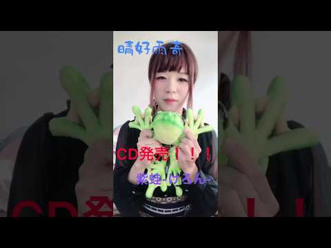 動画