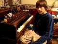 tso piano riley   flight of the bumble bee   a last illusion