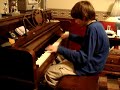 tso piano riley   flight of the bumble bee   a last illusion