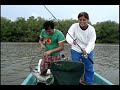 pesca de robalo