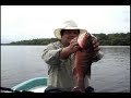 PESCA DE ROBALO
