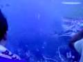 videos de iraklis-ergotelis gate10