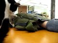 Strap getting freaked out by my bag