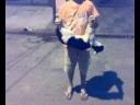 * O GaTo *