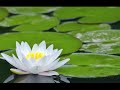 Relaxation Meditation