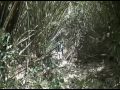 Mt. Tapulao Climb via Mayantoc, Tarlac \