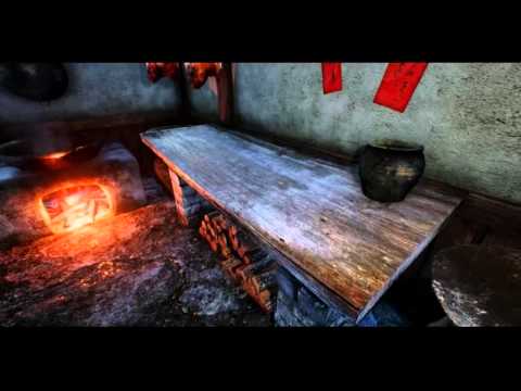 Vidéo 1