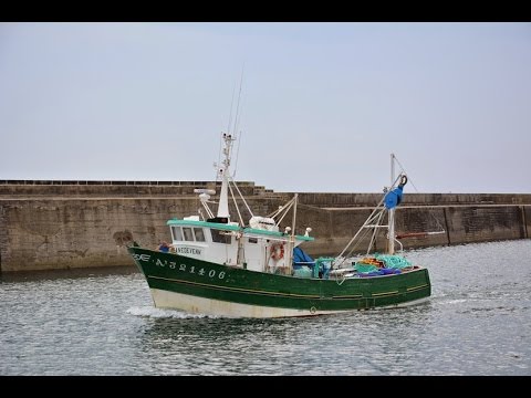 La pêche sur les poissons exotiques de vidéo