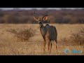 Wild Africa, Find Your Blank Spot on the Map Wild Africa, Find Your Blank Spot on the Map