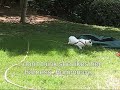 Cat goes outside