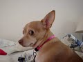 Sony cyber shot DSC-W150 test # 1