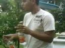 O Barman
