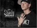 T.I. Eminem Touchdown