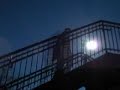 intentional fallacy is a film that questions the notions of authorial intent. created with more than 2,500 still images and hand-drawn animation, the film follows a young man experiencing an existential crisis. mistakenly assuming his sketch pad is a reliable guide, the young man loops through time to find his true reality.