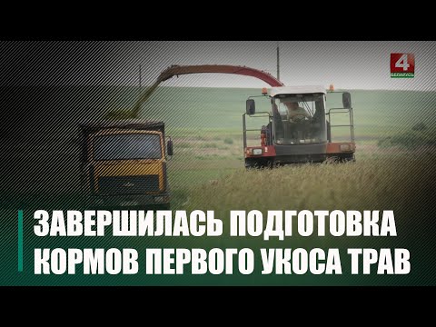 Узнали, как проходит заготовка кормов первого укоса трав на Гомельщине видео