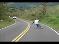 Gira Chiriqu� 2008 - LongboardsPanama.com