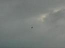 Kyosho Gee Bee Z