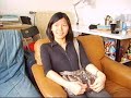 Introduction (Dower project)