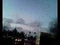 Leipe vogelzwerm ouweeeeeeee