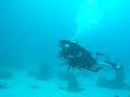 Me and Legs Scuba-doofing Me and Legs Scuba-doofing