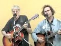 Ballad of Molly Ivins