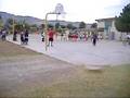 videos de cannon