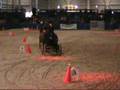 Scurry Driving Paard & Koets 17 november 2007