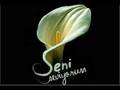 sinanay KALENİN BEDENLER: TURKUSU  OKUYAN HASİM KOC