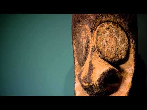how to fertilize australian tree fern