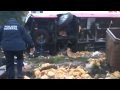 Un choque entre un autobús de pasajeros y un camión que transportaba pollos en la autopista México-Puebla dejó al menos 5 personas muertas y 20 lesionadas