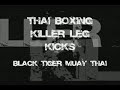 Muay Thai Technique #1