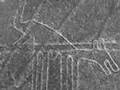 NAZCA LINES