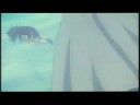 YuYu amv 2 YuYu amv 2
