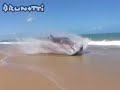 Brunotti Brasil Tour - Clip 06
