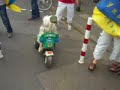 Polizeihund auf Streife