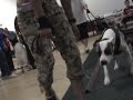 Weight Pull Demonstration Part 2