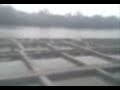 Kuala Berang Aquaculture (Fish Farm)