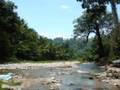 Tubod Sa Naughang Sapa