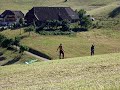Zmeul Manele-Gratis.net