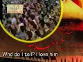 Never without Hussain - Hamid Alimi