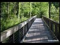 appalachian spring    aaron  copland o s ciudad de leon