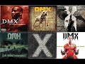 dmx   dogs for life