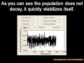 How Evolution REALLY Works, Part II